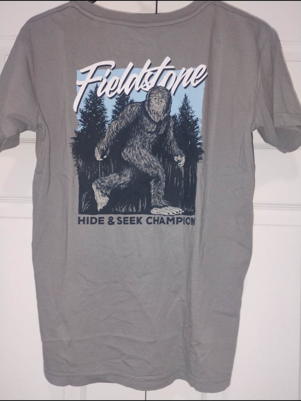 Youth XL Fieldstone Gray 'Hide & Seek Champion' Graphic T-Shirt NWT